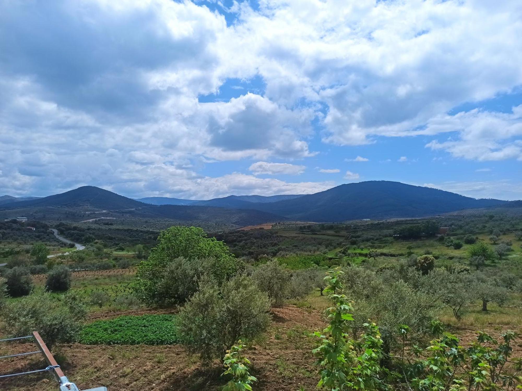 Sotoserrano Casa Rural Los Olivos מראה חיצוני תמונה