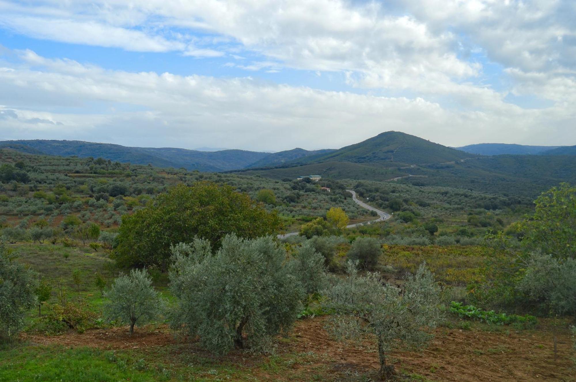 Sotoserrano Casa Rural Los Olivos מראה חיצוני תמונה